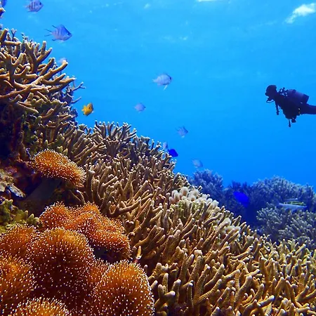 아파트호텔 Bellavista A Santa Giulia, Proche De La Et Vue