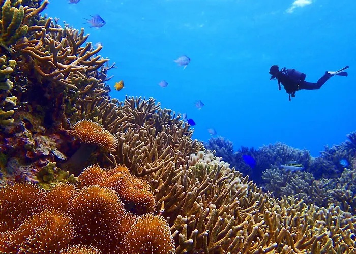 Apartmanhotel Bellavista A Santa Giulia, Proche De La Et Vue